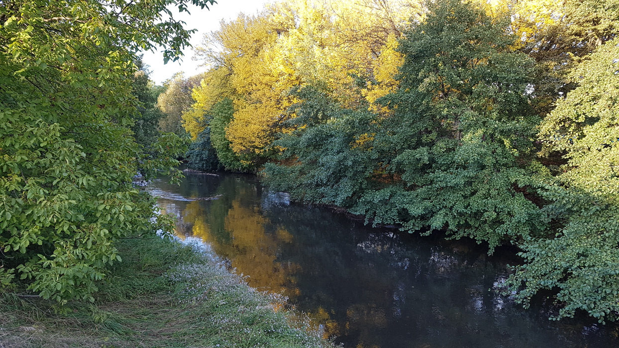 Living in Karlsruhe_Rheinhafen_2